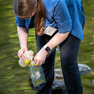 Academy Scientist tests water quality from a river.